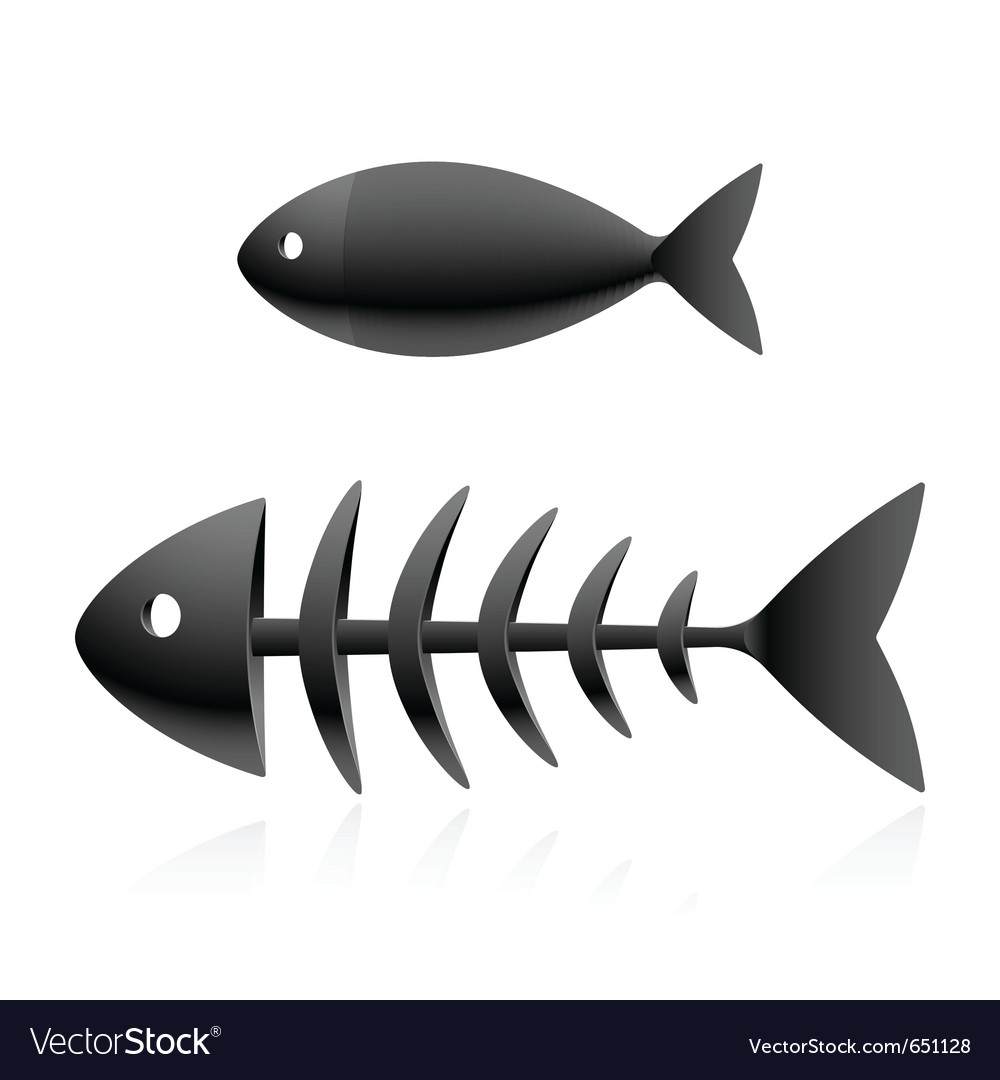 Download Fish skeleton Royalty Free Vector Image - VectorStock