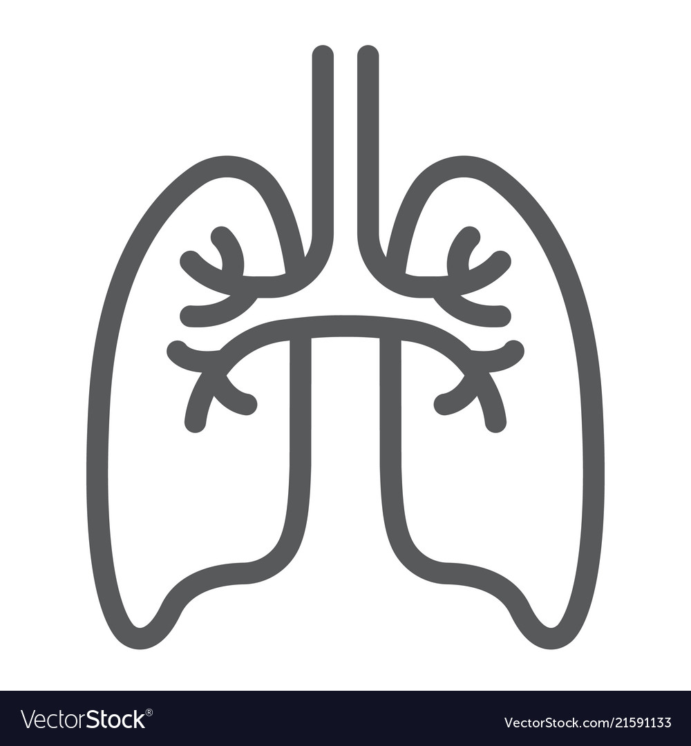 Lungs line icon anatomy and biology pulmonology Vector Image