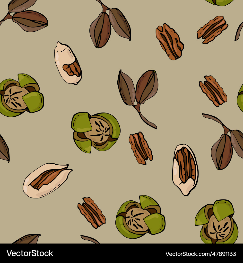 Seamless pattern with pecan nuts Royalty Free Vector Image