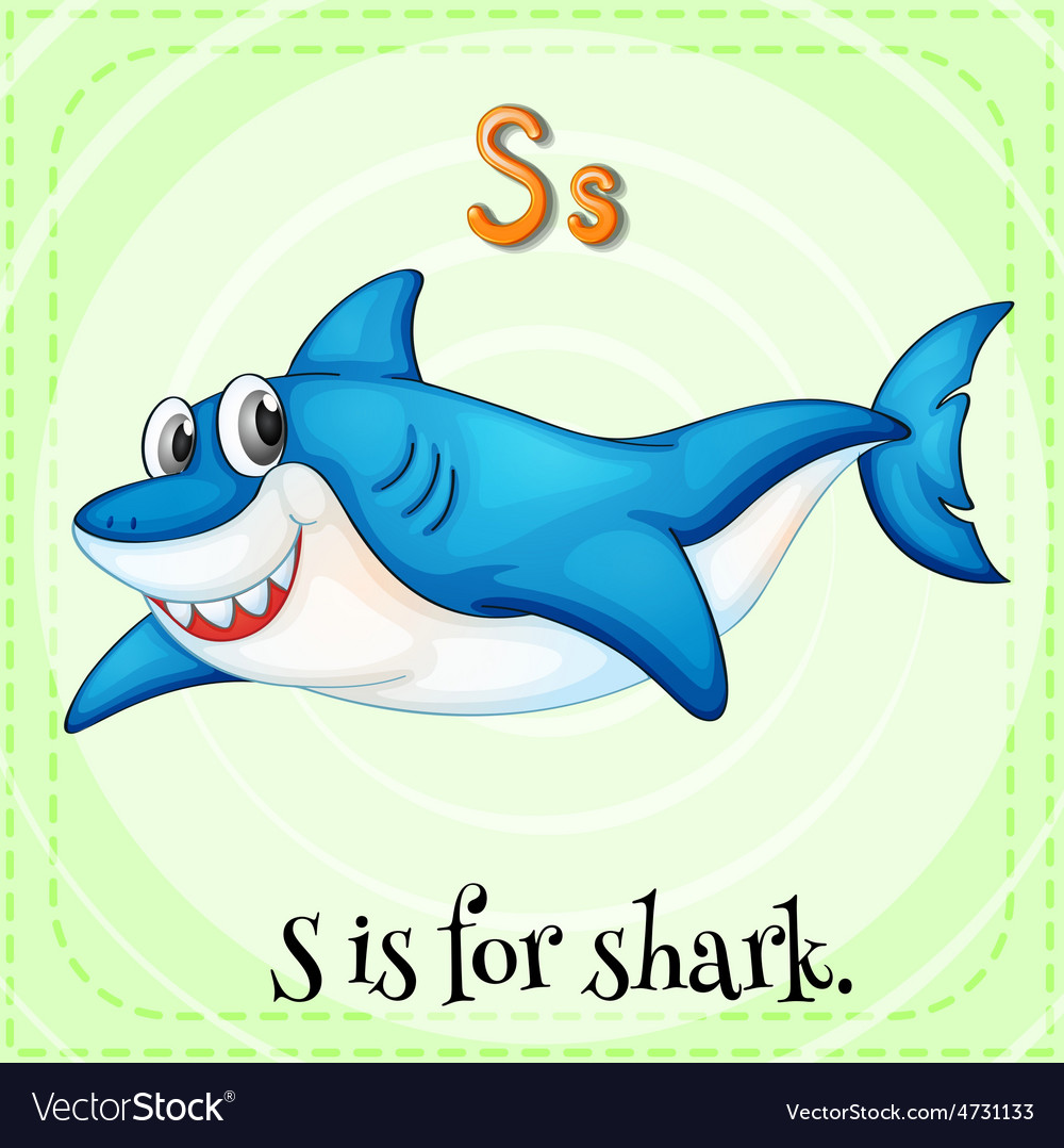 Shark Royalty Free Vector Image - VectorStock