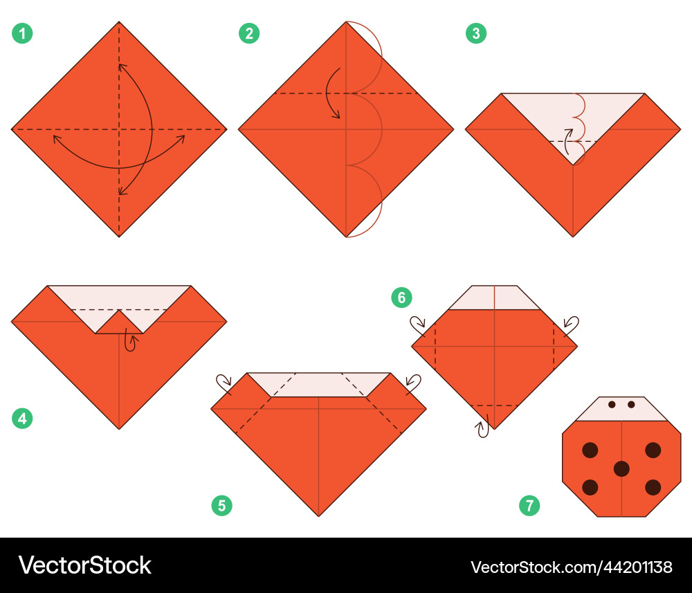 Origami Tutorial Scheme For Kids Ladybug Vector Image