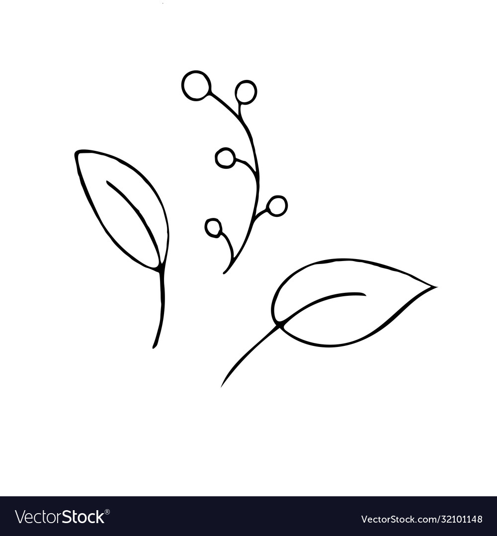 Element without background leaves from a tree Vector Image