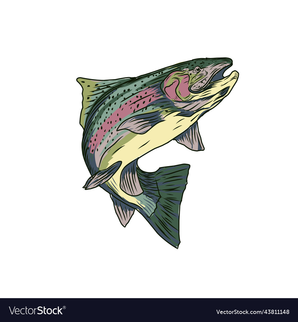 Trout fishing Royalty Free Vector Image - VectorStock