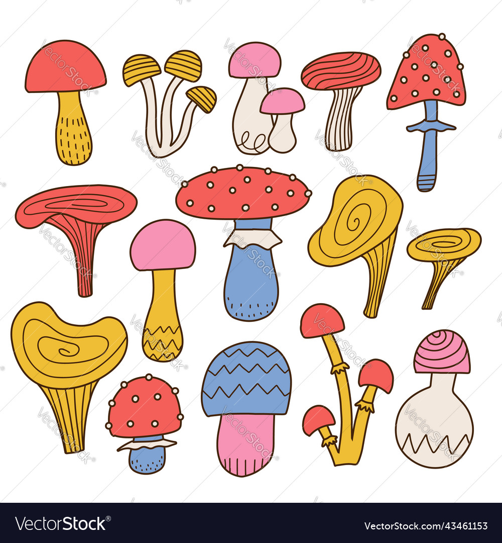 A set of various mushrooms drawn by hand retro vector image A set of various mushrooms drawn by hand retro