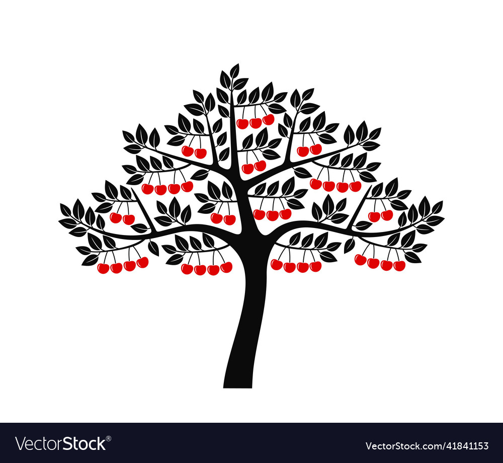 Cherry tree Royalty Free Vector Image VectorStock