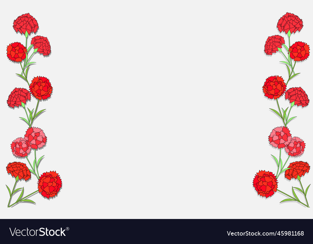 Background with carnations Royalty Free Vector Image