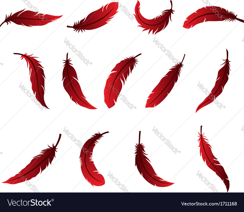 Download Beautiful Feather Design for Logo Royalty Free Vector Image