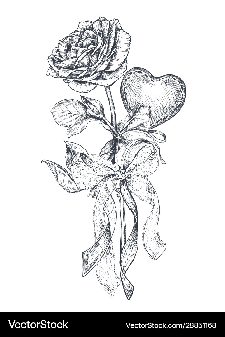 Hand drawn vintage Royalty Free Vector Image - VectorStock