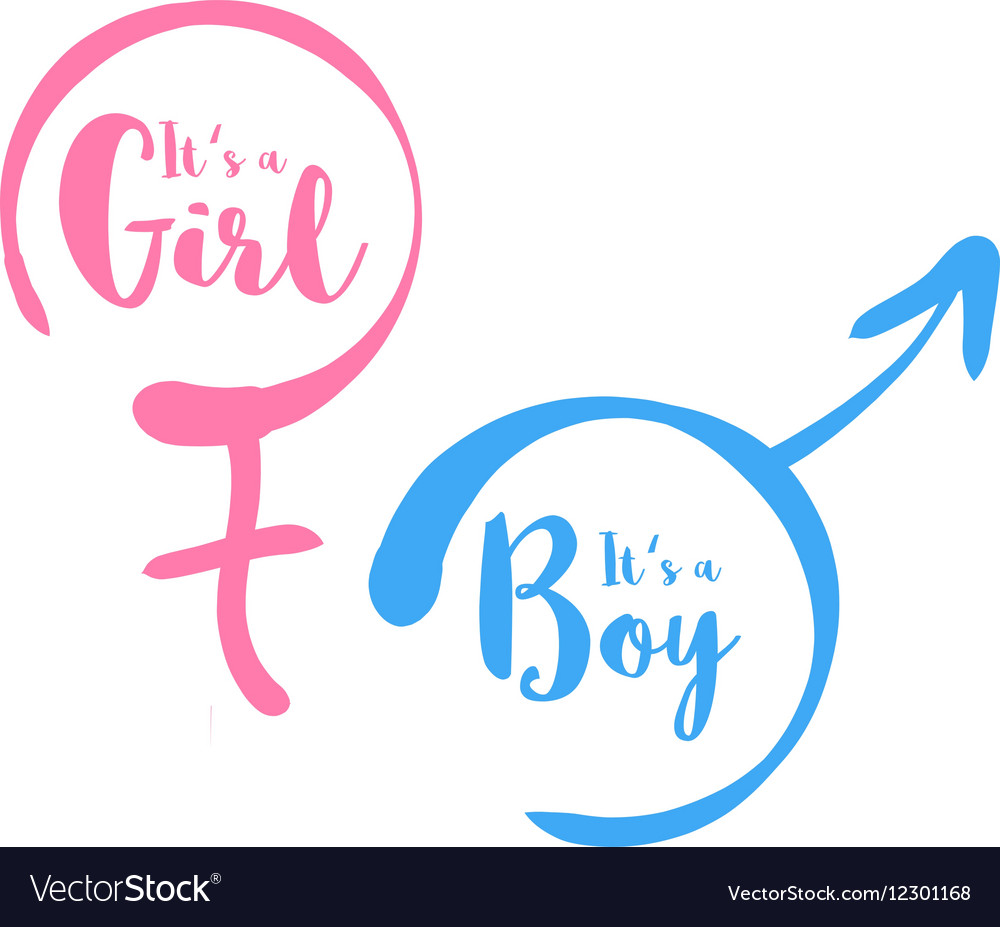 Its a boy or girl - baby shower invitation Vector Image