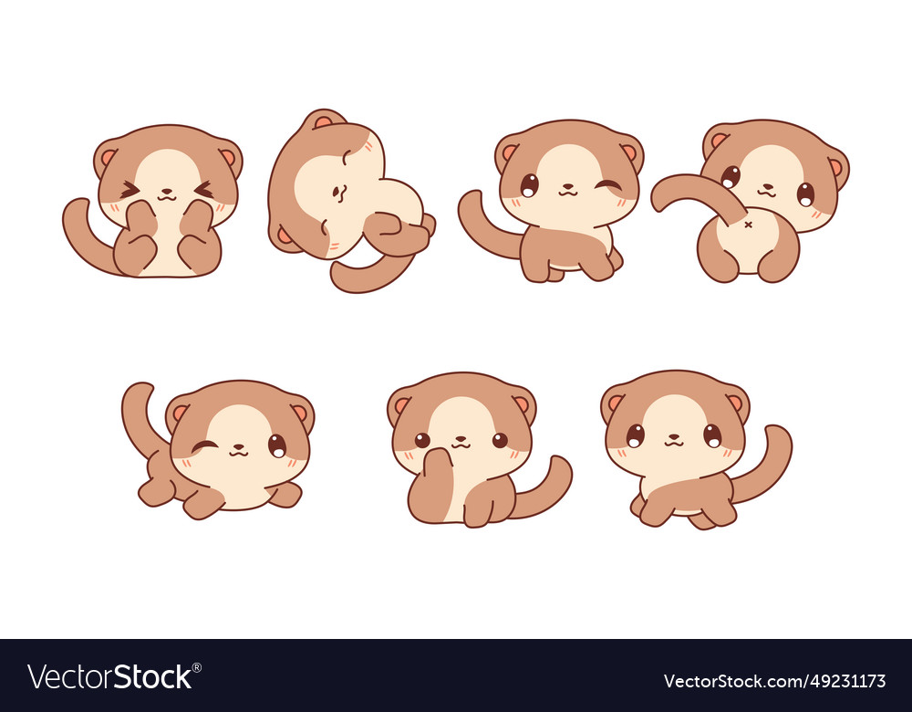 Collection of cartoon baby ferret art set Vector Image