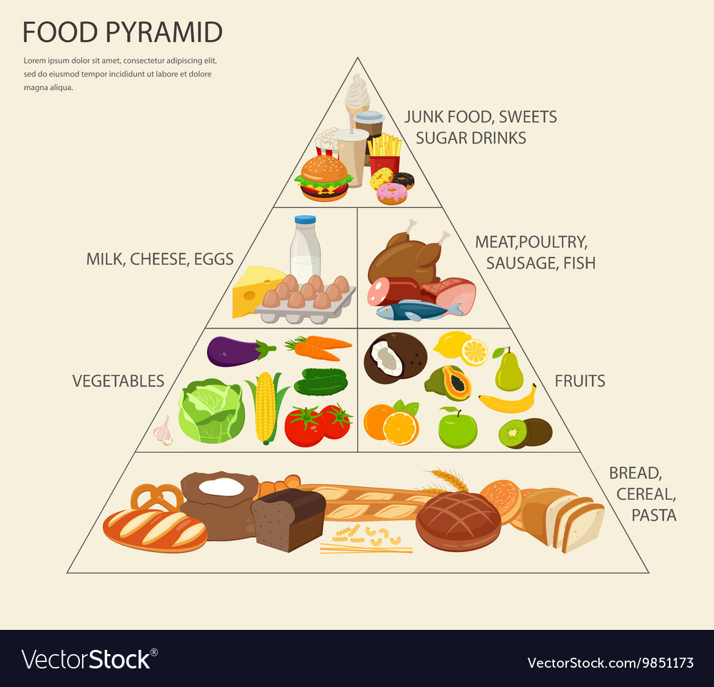 Food pyramid healthy eating infographic healthy Vector Image