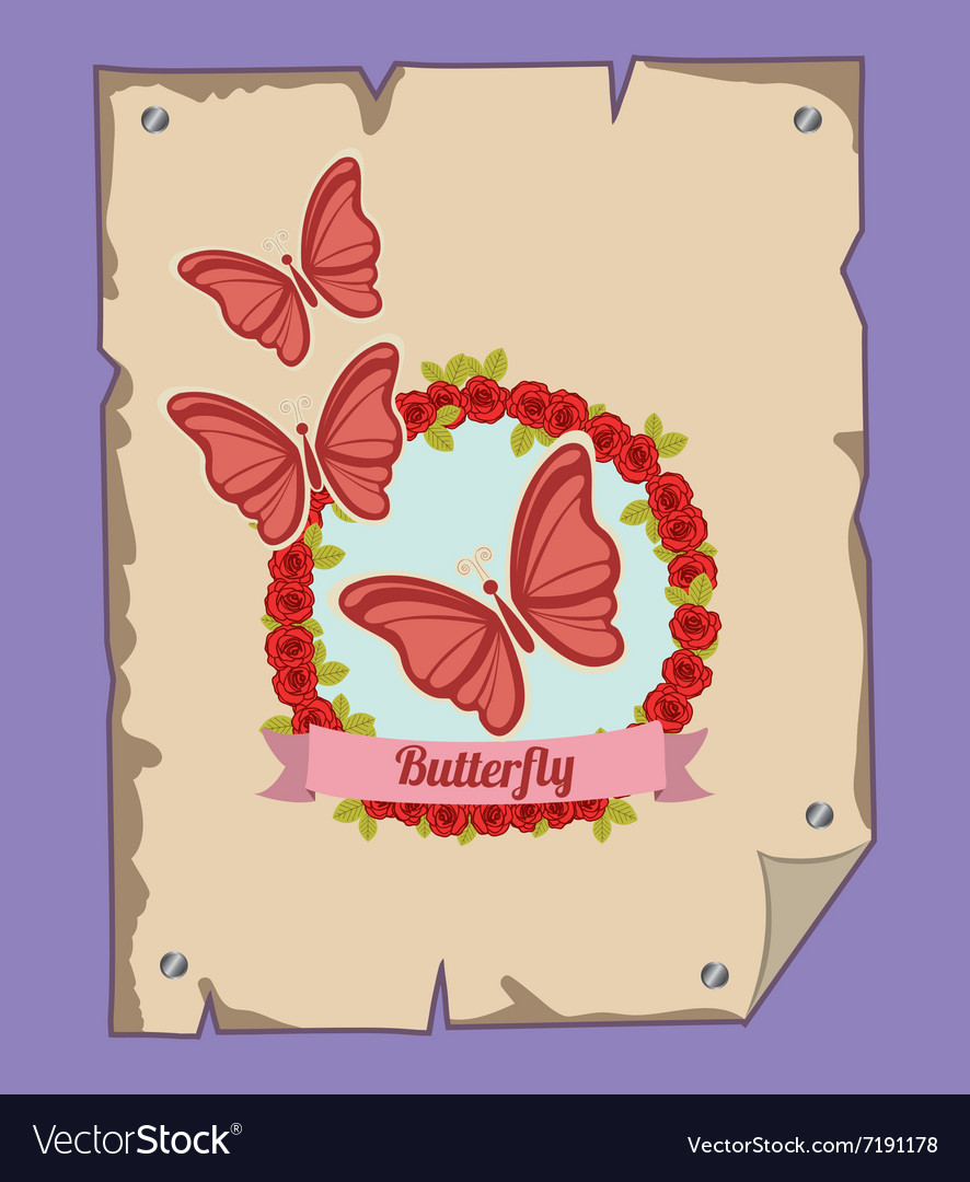 Beautiful butterflies design Royalty Free Vector Image