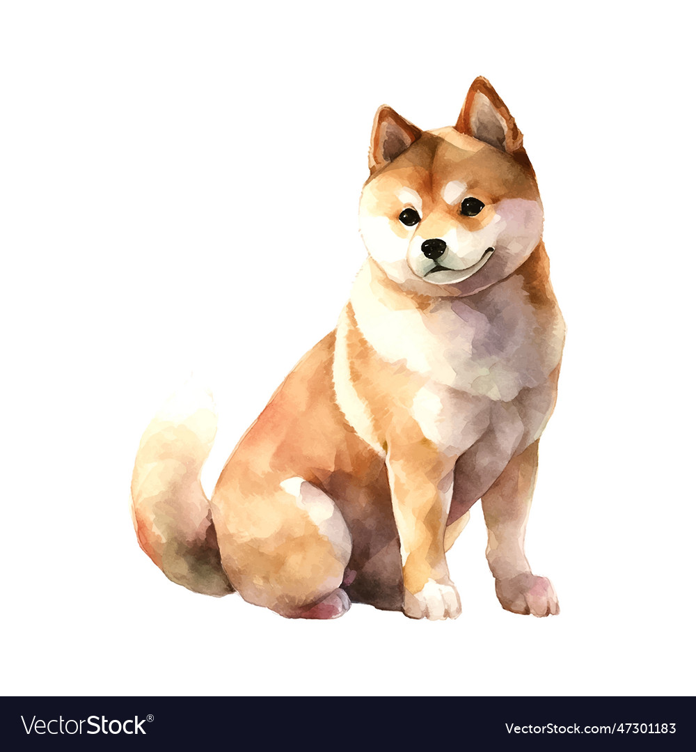 Akita dog watercolor great design for any Vector Image