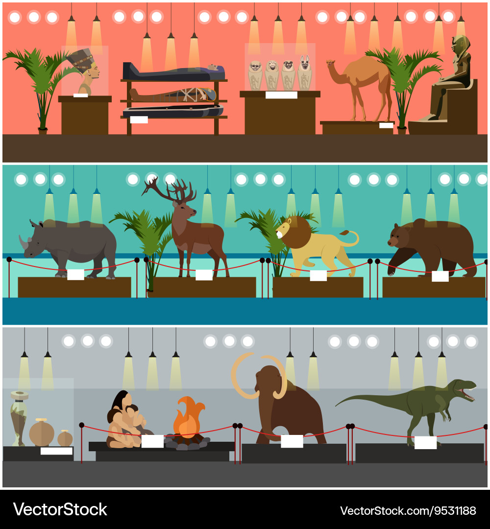 Archaeological Museum Interior Banners Royalty Free Vector