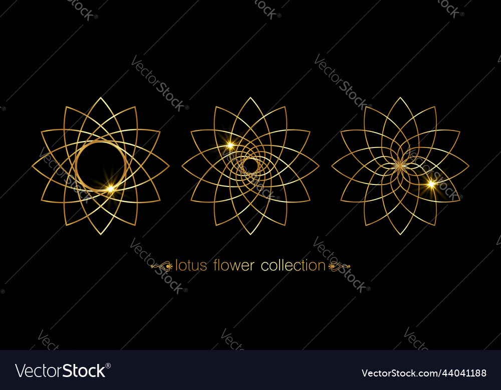 Golden lotus flower set collection floral mandala vector image Golden lotus flower set collection floral mandala