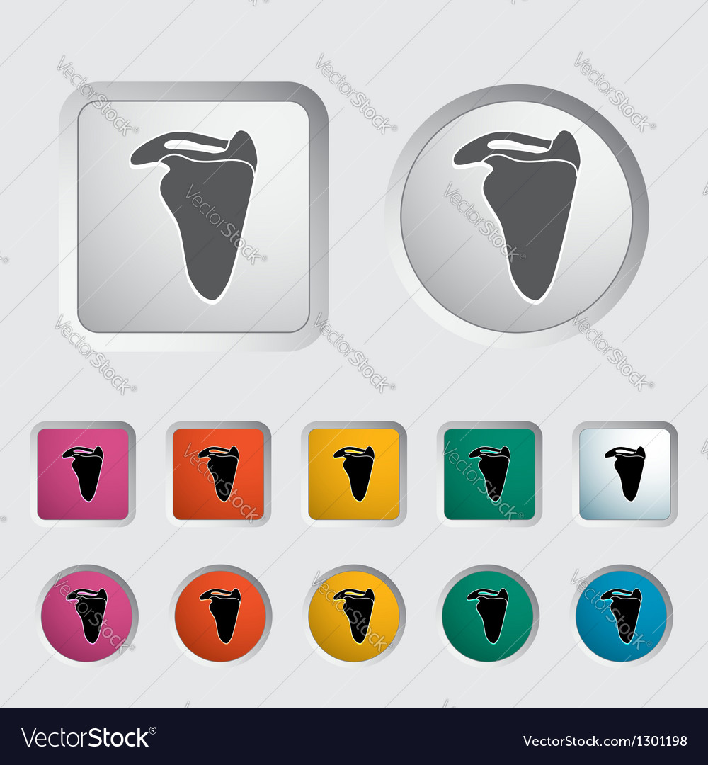 Scapula Royalty Free Vector Image - VectorStock