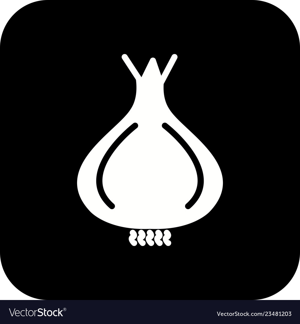 Onion icon Royalty Free Vector Image - VectorStock