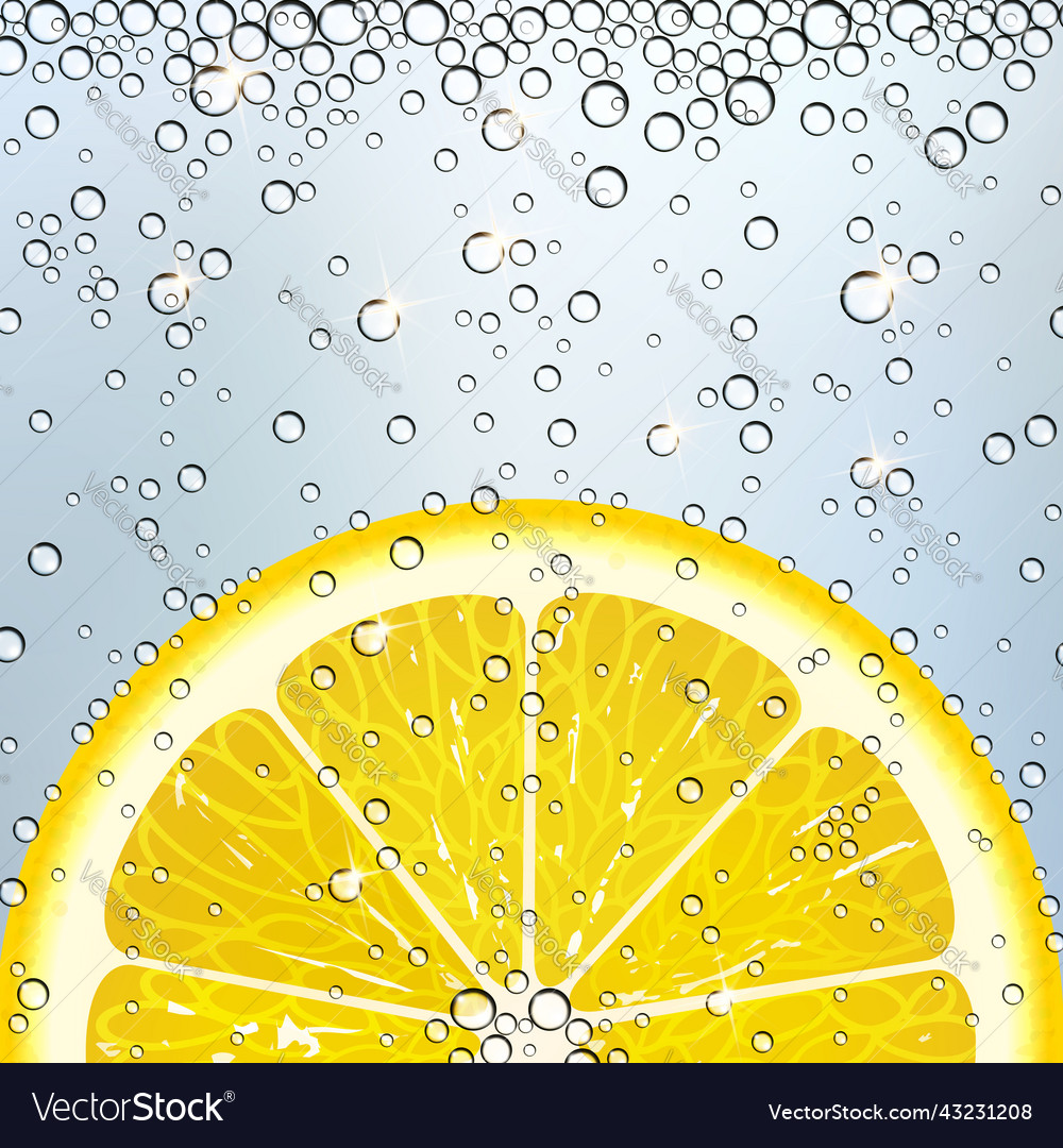 Lemon in sparkling water Royalty Free Vector Image Lemon in sparkling water Royalty Free Vector Image
