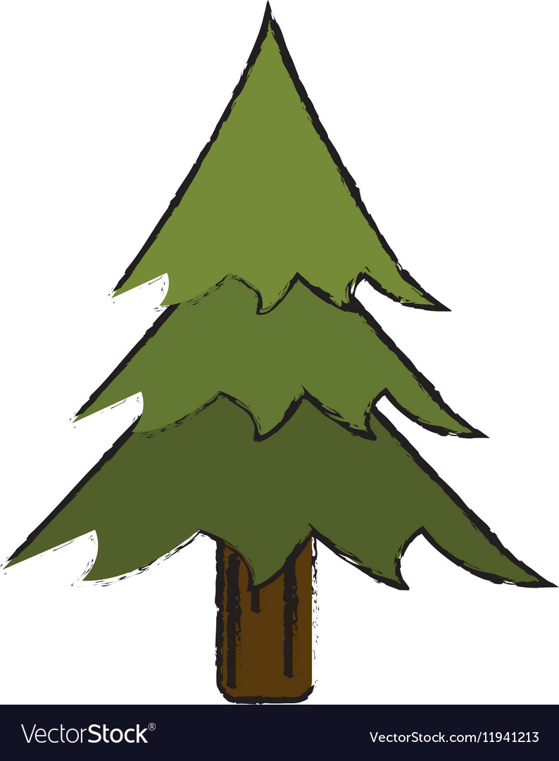 Drawing Pine Tree Forest Camping Icon Royalty Free Vector