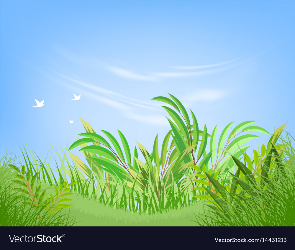 Green Leaf Scene Royalty Free Vector Image Vectorstock Green Leaf Scene Royalty Free Vector Image Vectorstock