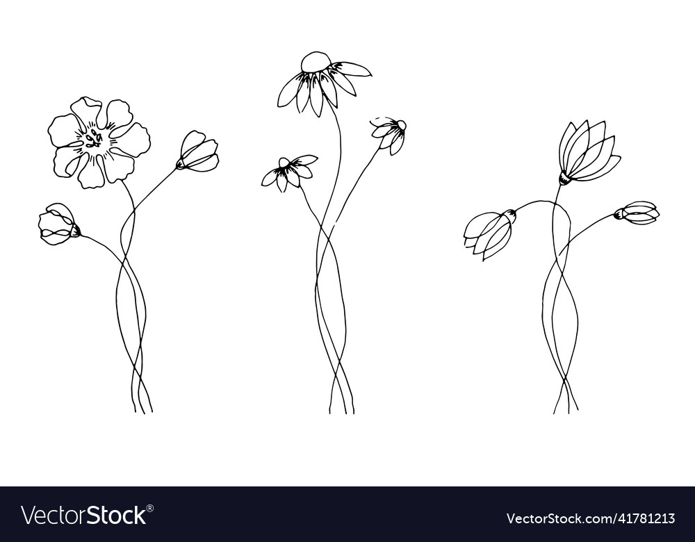 Hand drawn set of wild flowers field flowers Vector Image