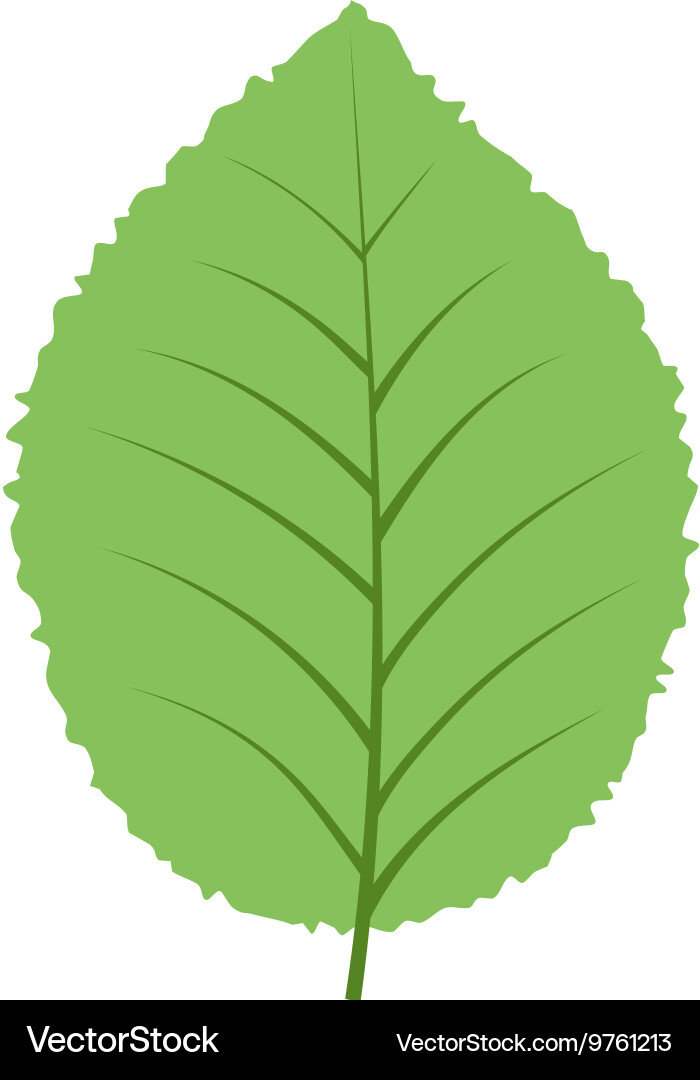 Leaf icon Royalty Free Vector Image - VectorStock