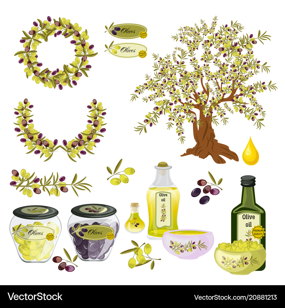 Oil olive tree food bottle label Royalty Free Vector Image