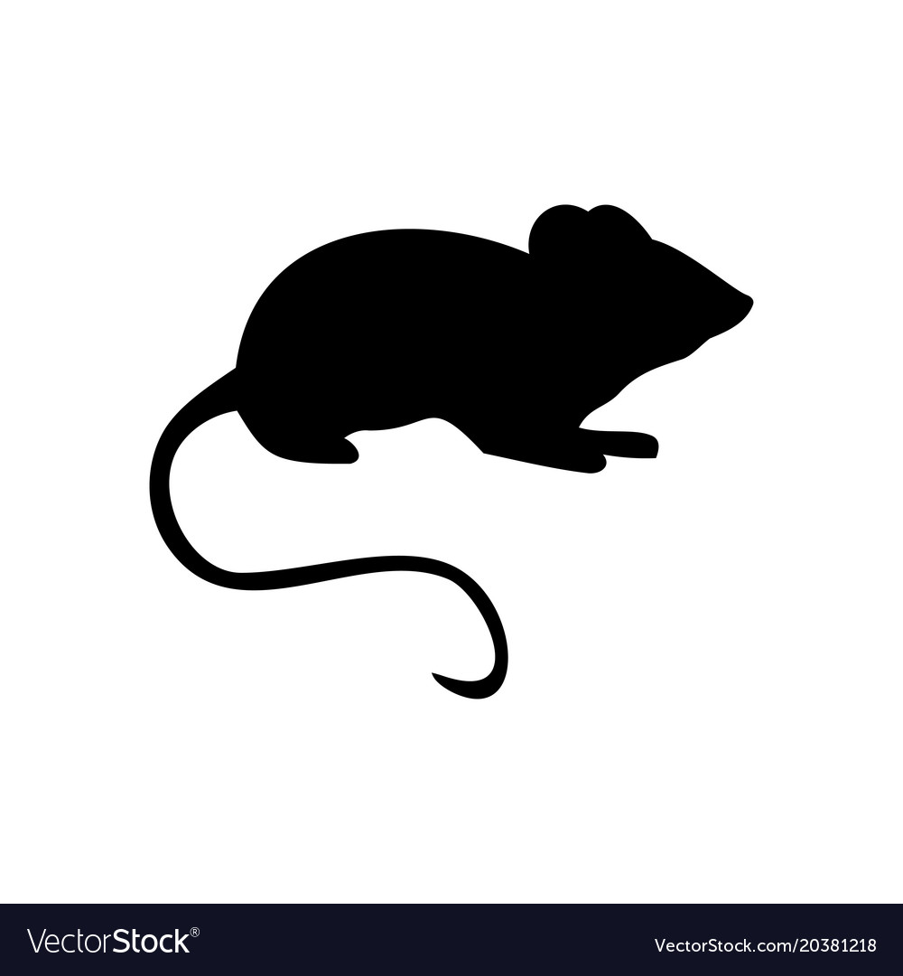 Download Mouse animal Royalty Free Vector Image - VectorStock