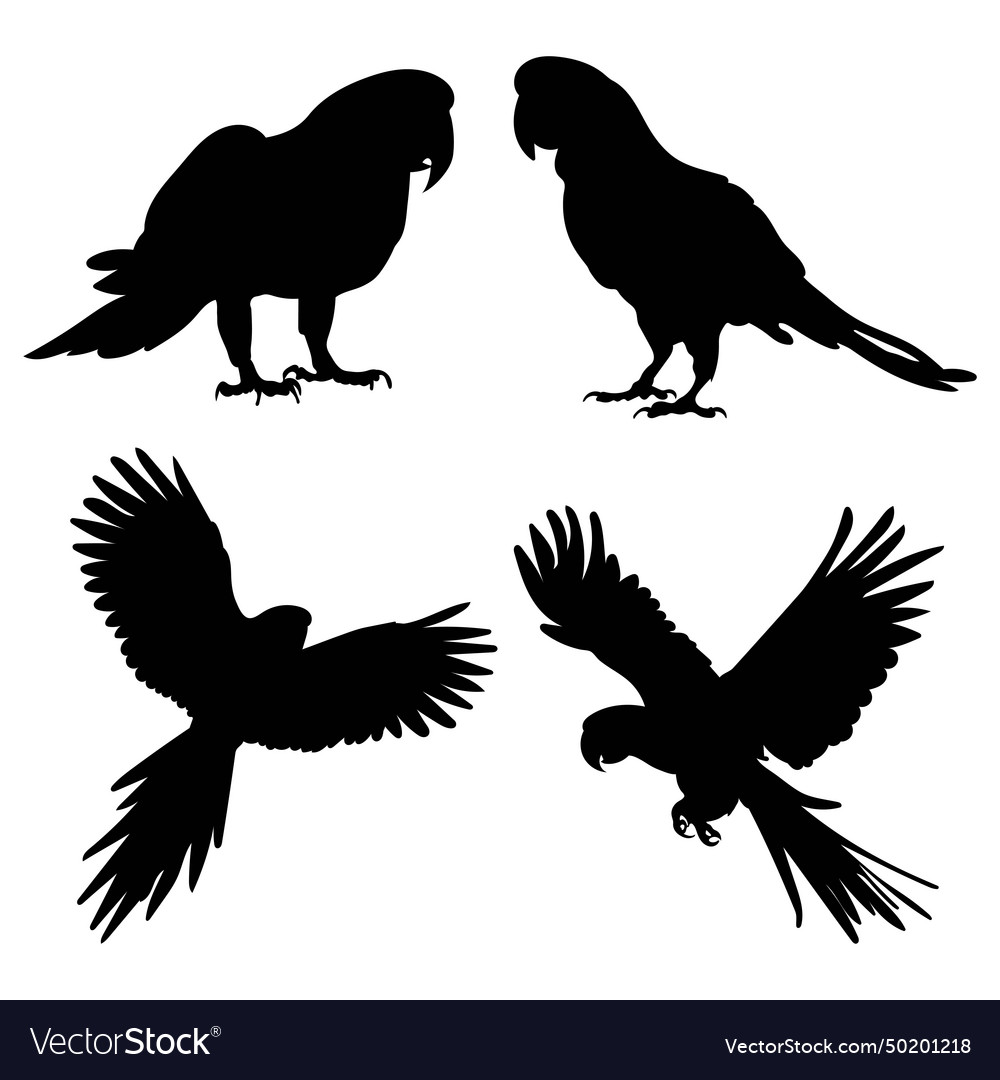 Parrot silhouettes set Royalty Free Vector Image