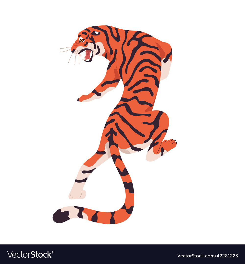 Amur tiger roaring and walking back view wild Vector Image