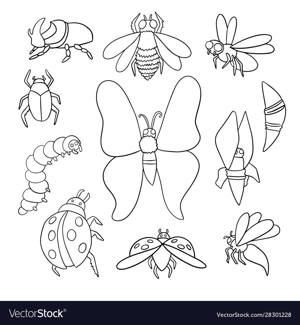 Insects Clipart Stock Illustrations – 2,408 Insects, 47% OFF