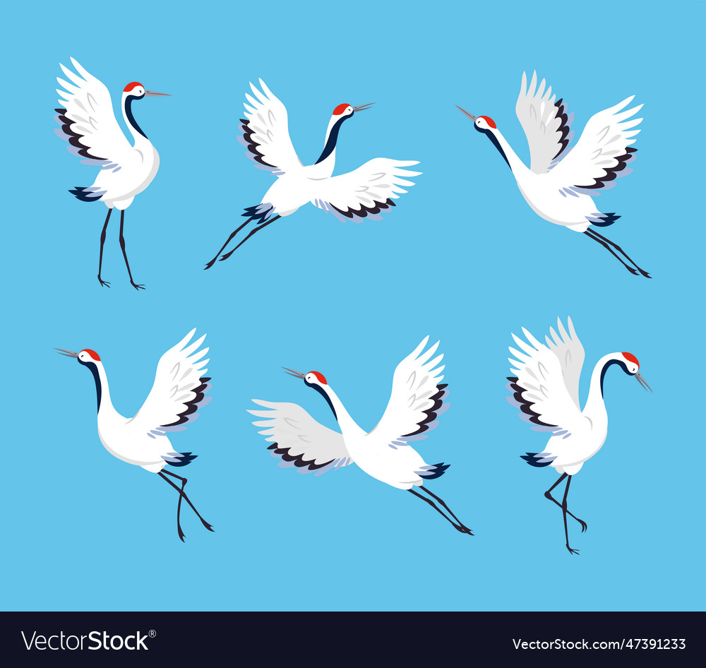 Red crowned crane as long-legged and long-necked Vector Image