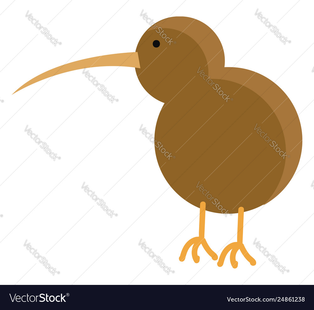 Brown kiwi bird on white background Royalty Free Vector