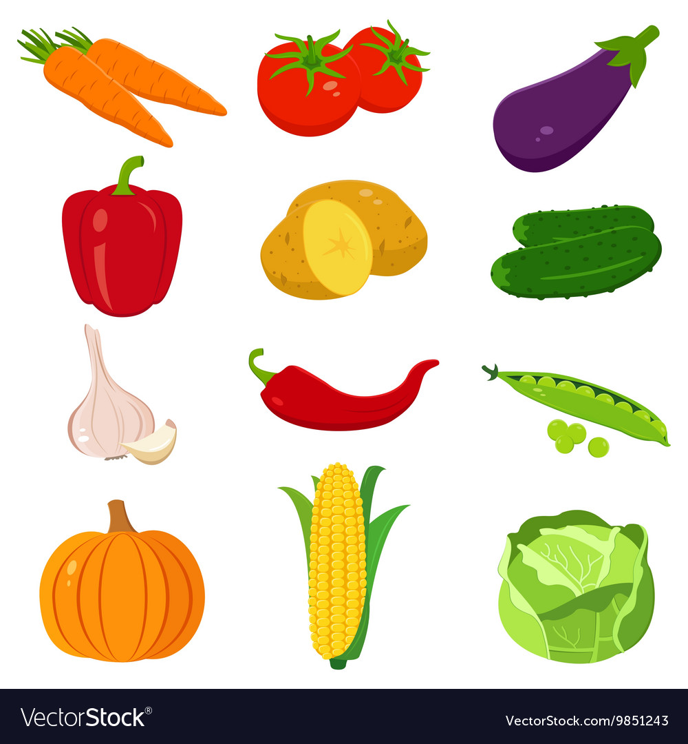 Cartoon Vegetables Vector Art, Icons, and Graphics for Free Download