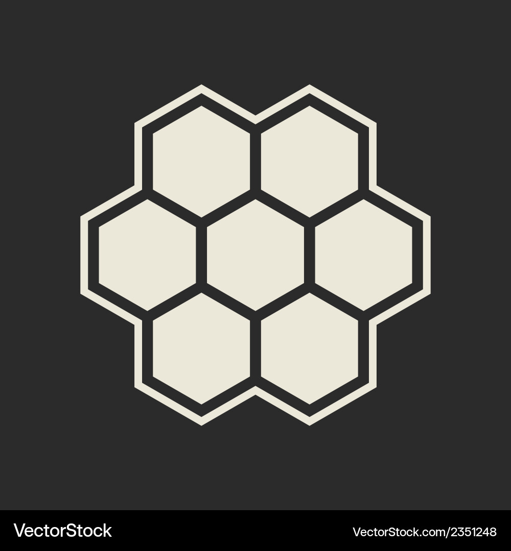 Hexagon icon Royalty Free Vector Image - VectorStock