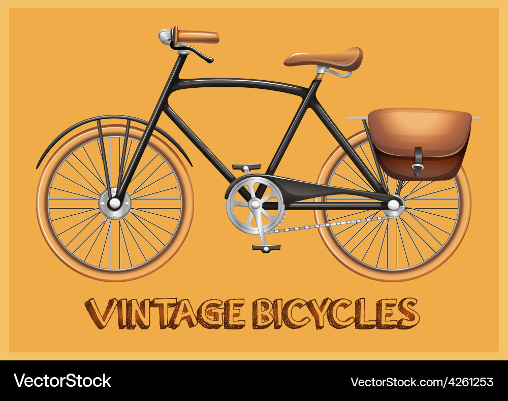 Bicycle Royalty Free Vector Image - VectorStock