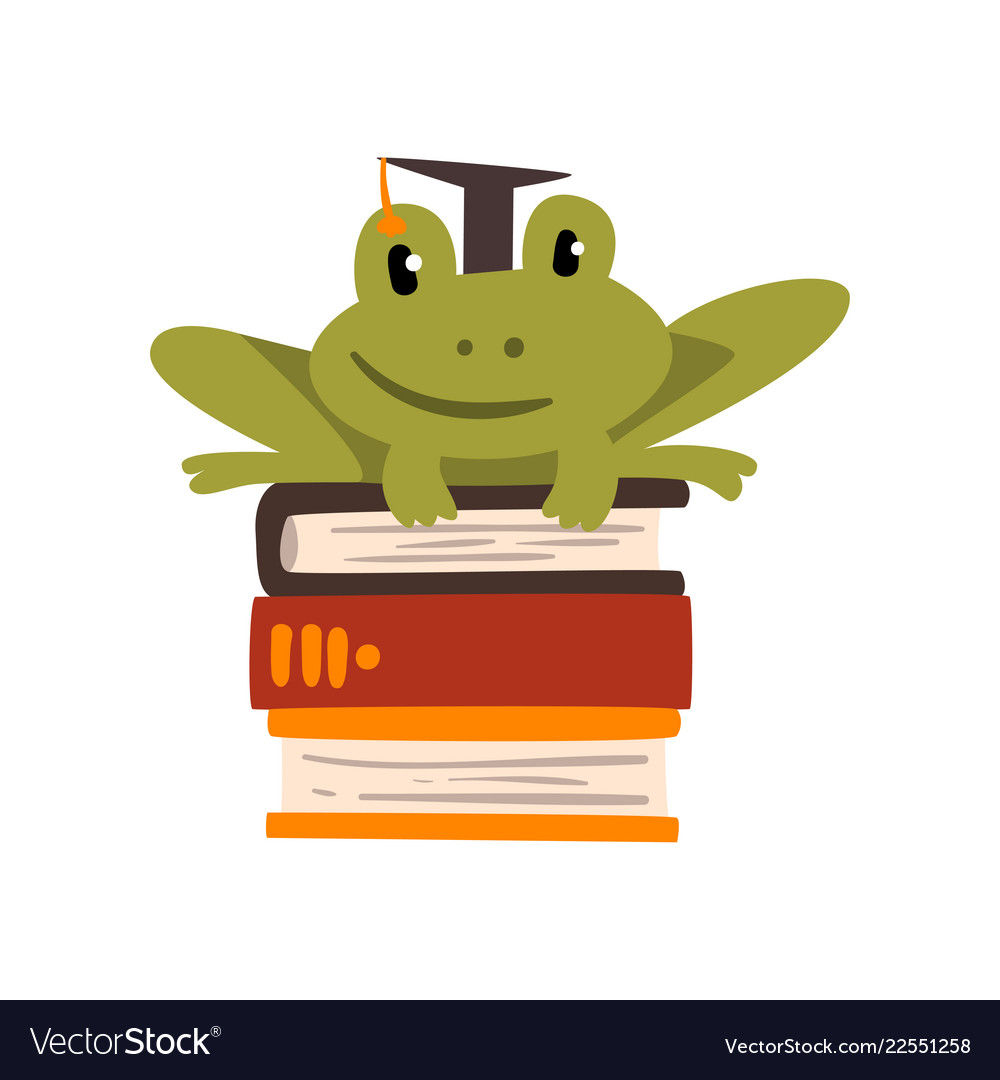 Frog with graduation cap Outlet