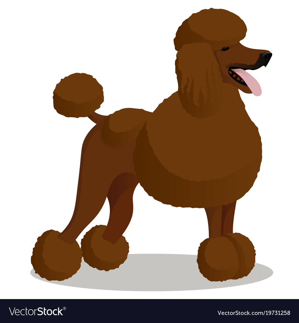 Cartoon Poodles - Carinewbi