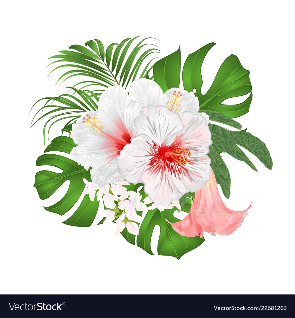 Download Bouquet with tropical flowers floral arrangement Vector Image