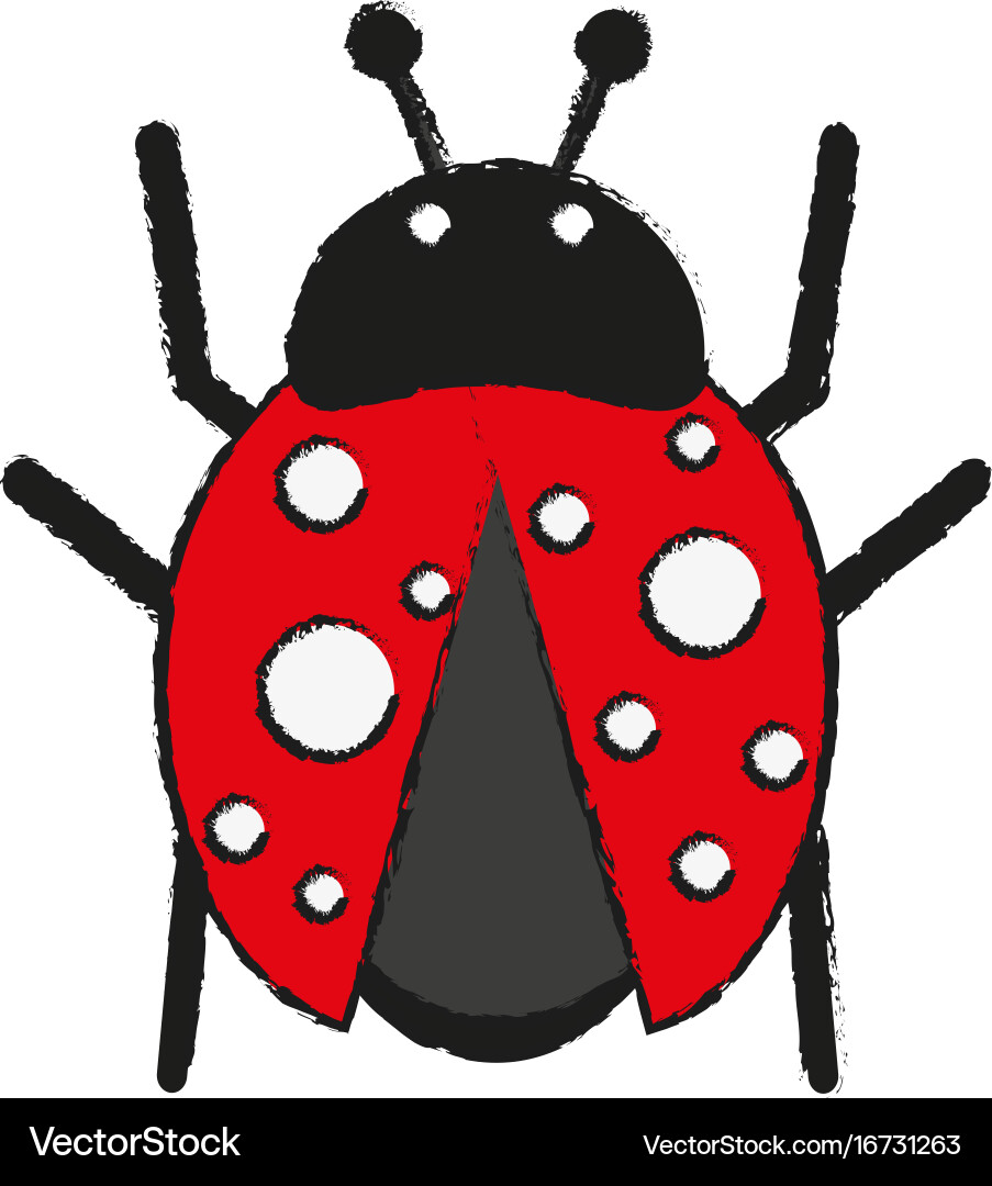 Ladybug insect icon image Royalty Free Vector Image