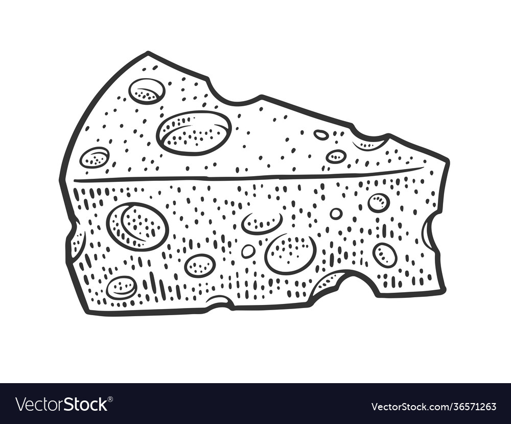 Piece cheese sketch Royalty Free Vector Image VectorStock