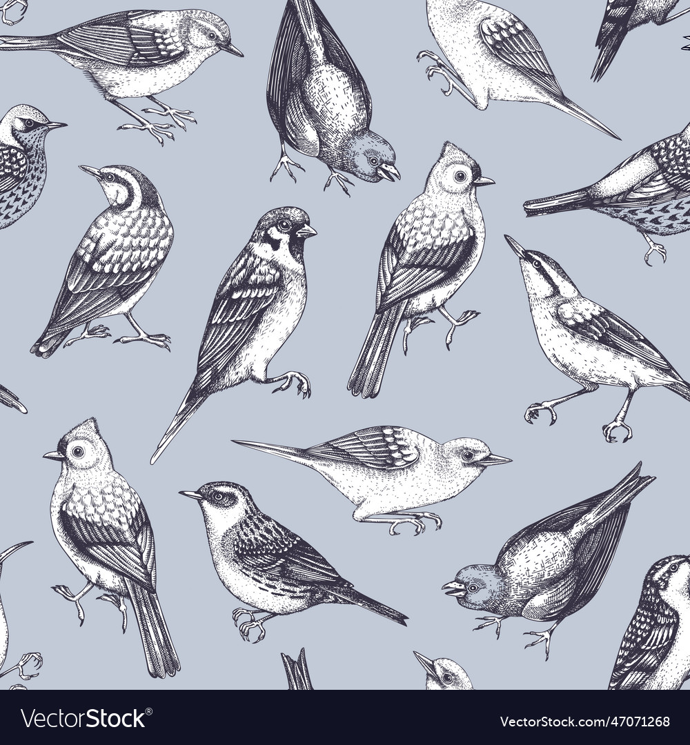 Hand drawn birds seamless pattern in engraved Vector Image