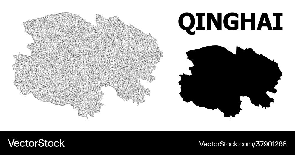 Polygonal network mesh high resolution map Vector Image