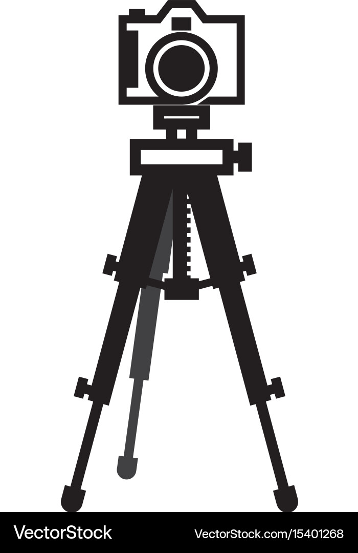 Professional photographic camera Royalty Free Vector Image
