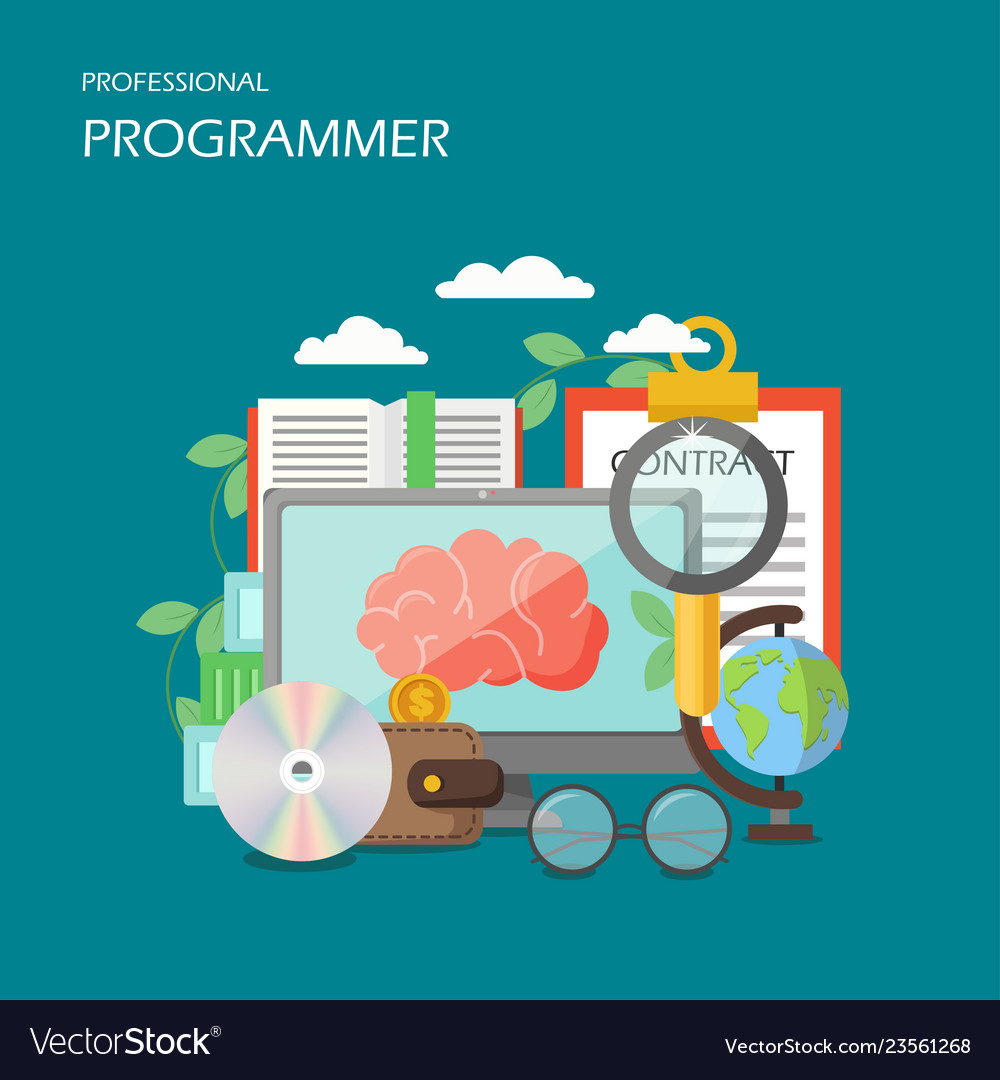 Professional programmer flat style design Vector Image