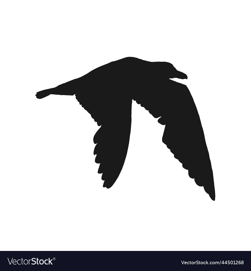 Silhouette of flying seagulls hand drawn Vector Image