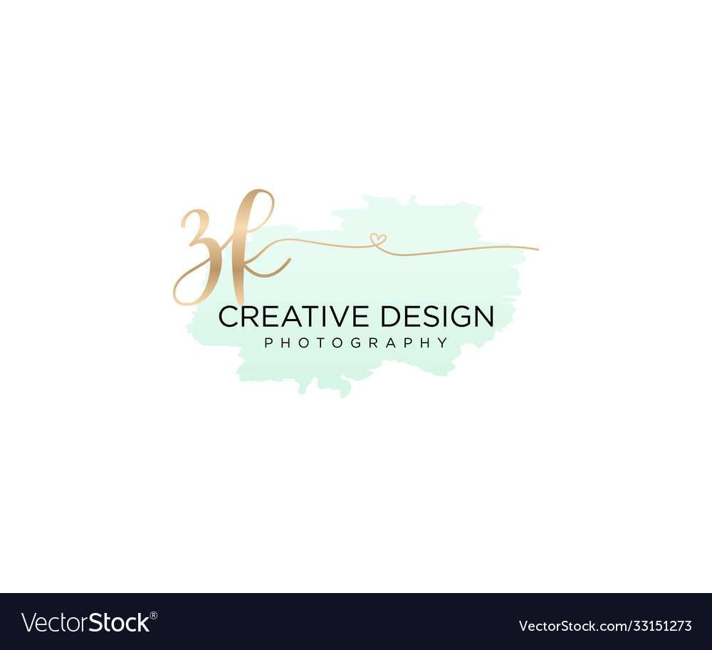 Initial Zk Handwriting Logo With Brush Template Vector Image