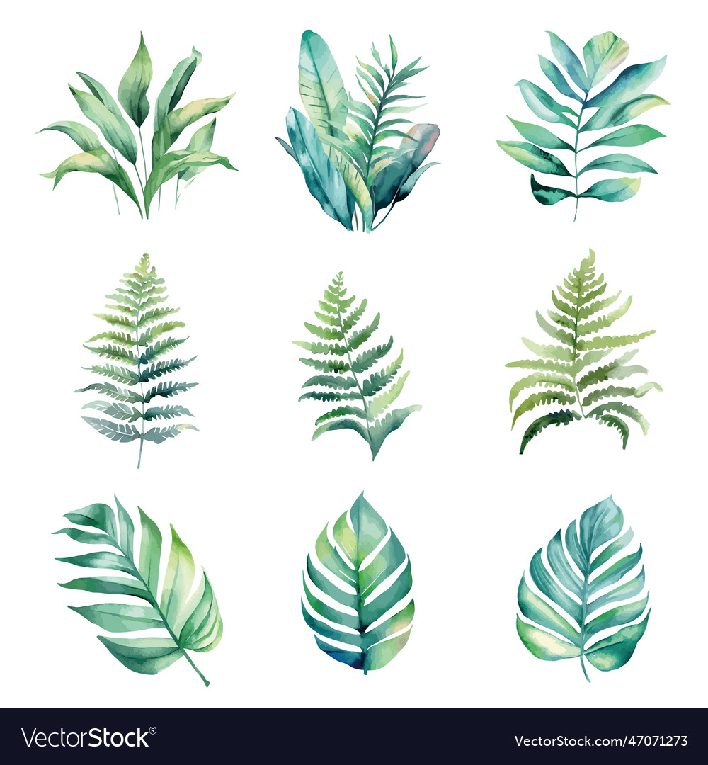 Watercolor Green Tropical Plants Royalty Free Vector Image 2482