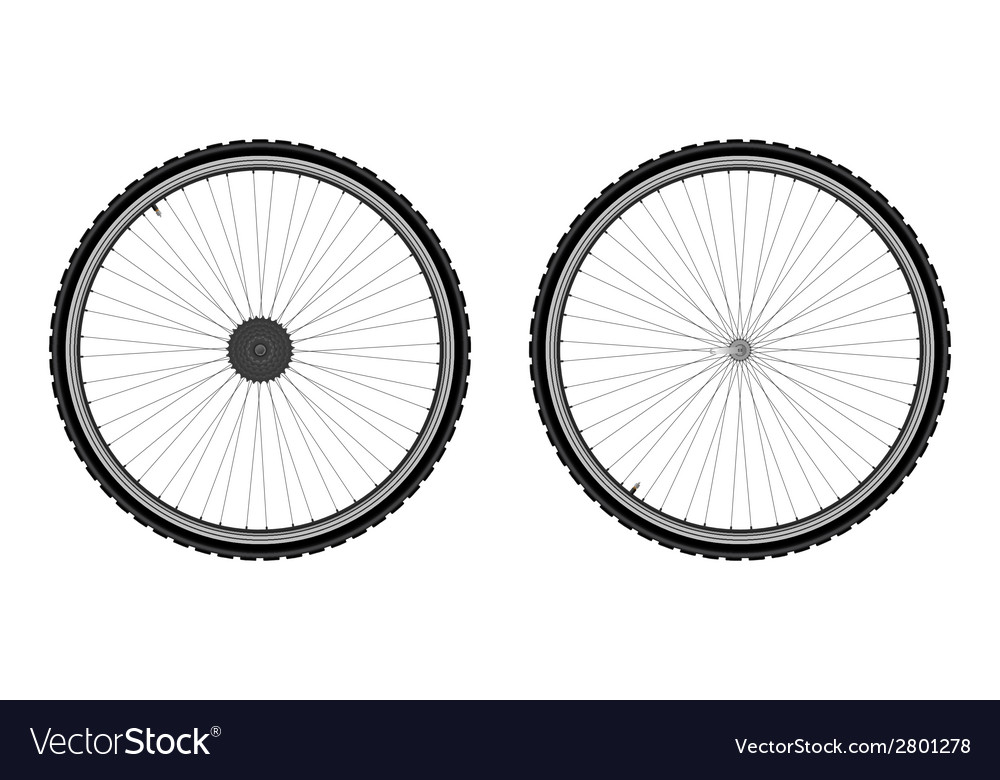 Bicycle wheel Royalty Free Vector Image VectorStock