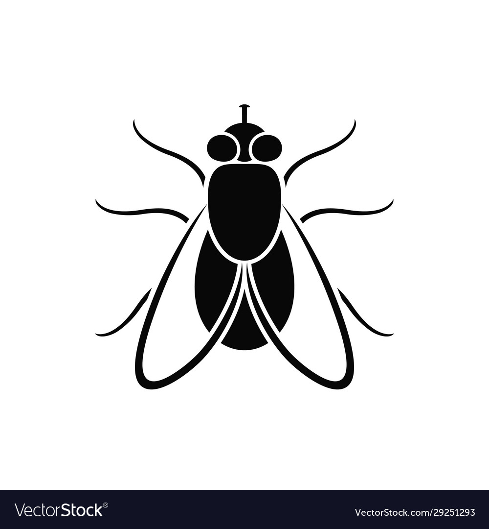 Learning to fly Royalty Free Vector Image - VectorStock